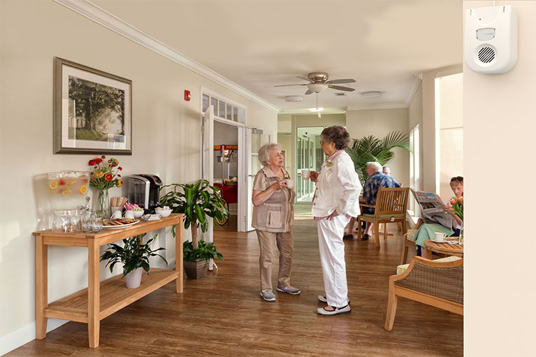 Frome Care Home