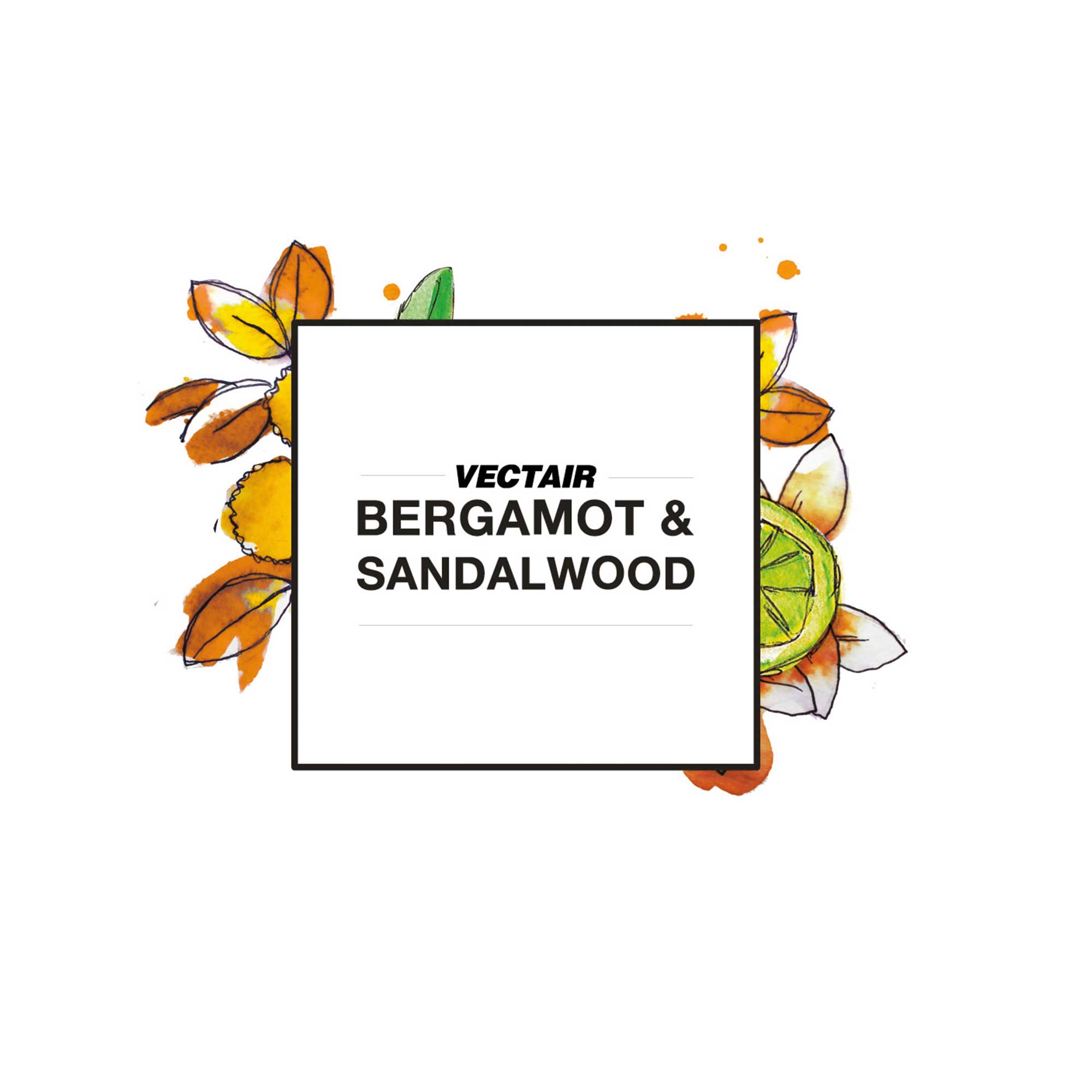 Bergamot & Sandalwood Icon