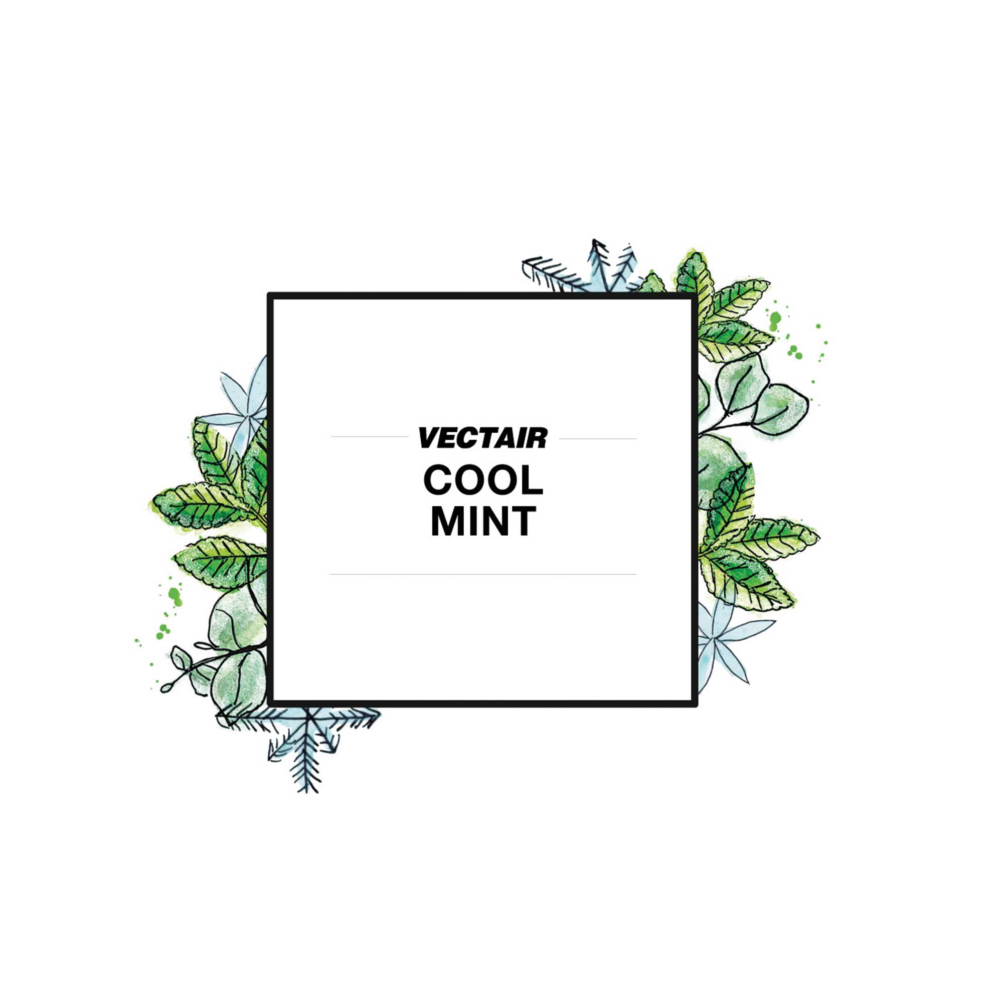 Cool Mint Icon