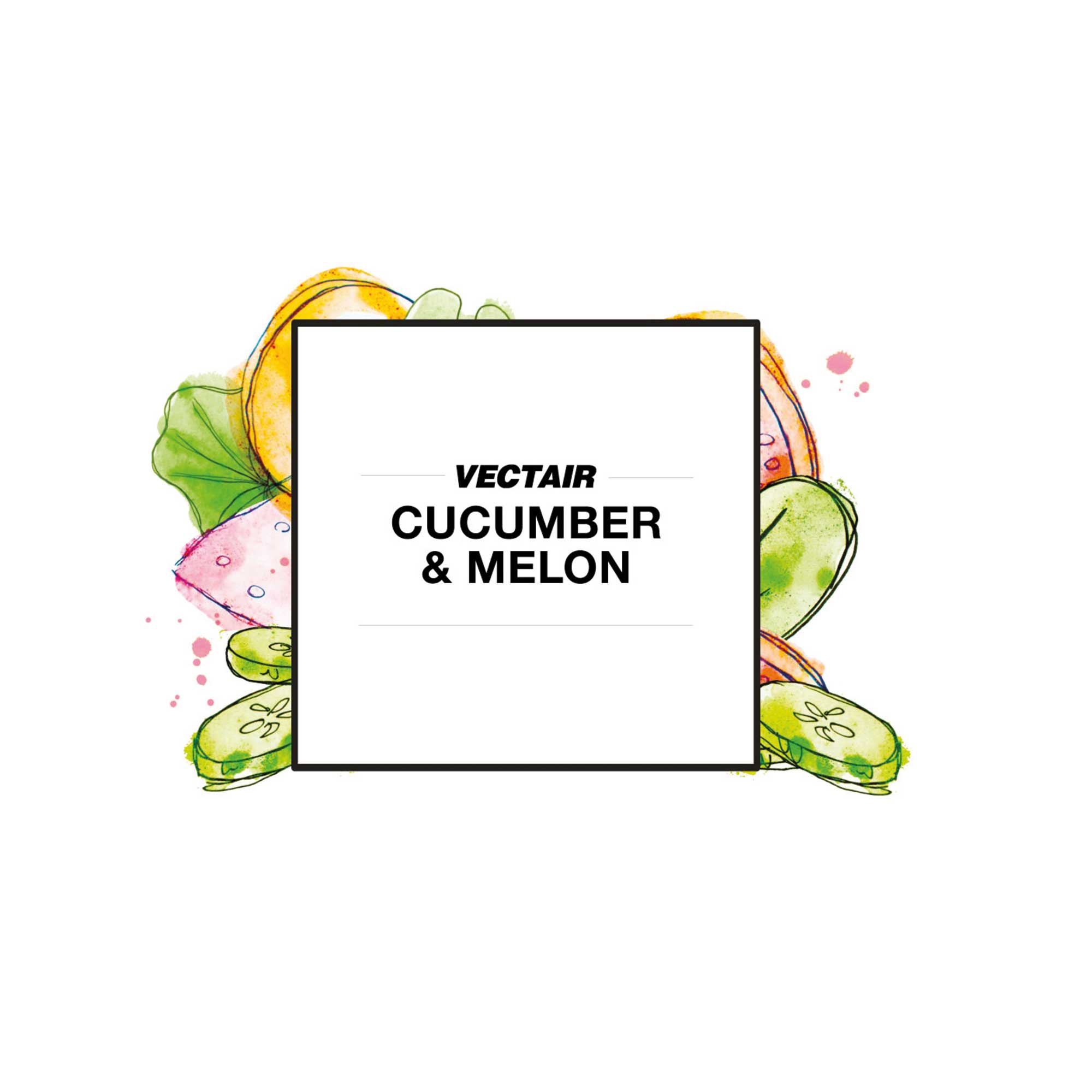 Cucumber & Melon Icon