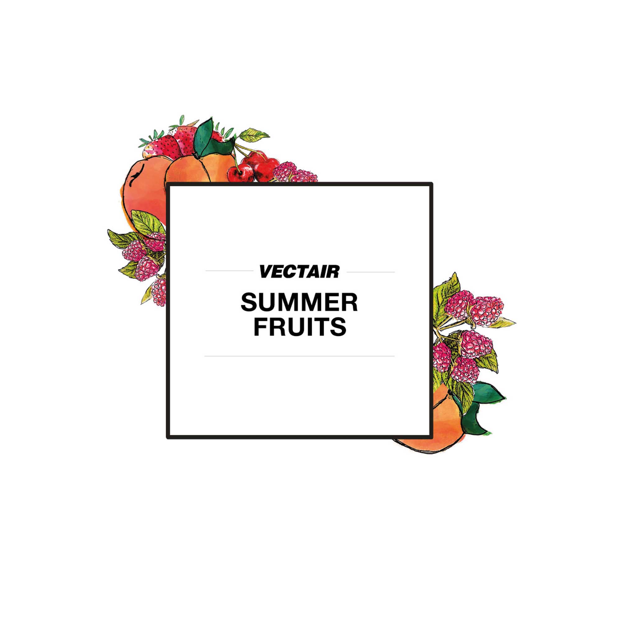 Summer Fruits Icon