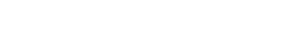 Sanitex MVP Logo