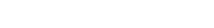 Vectair P-Screen Logo USA