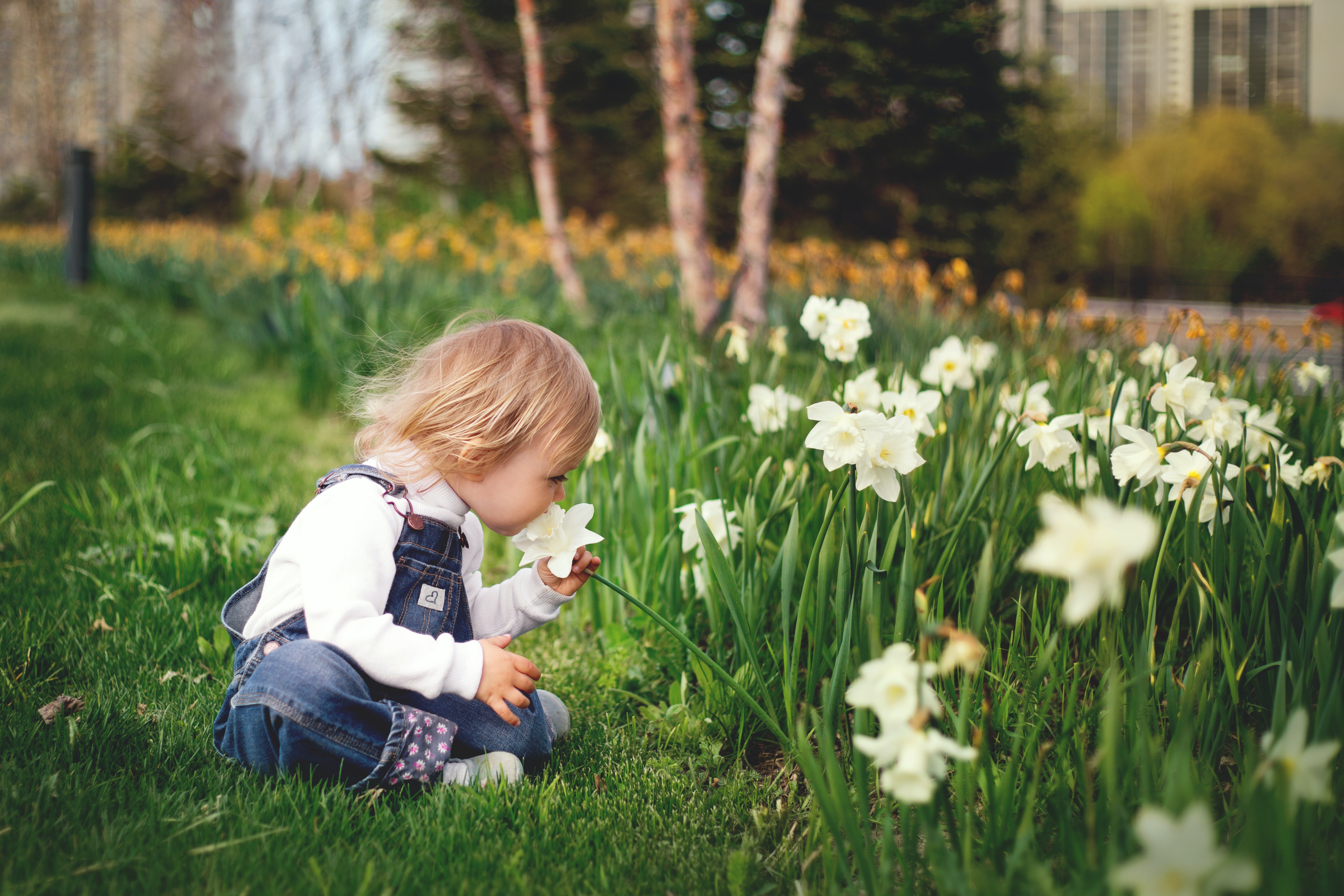 Little child smiffing flowers 
