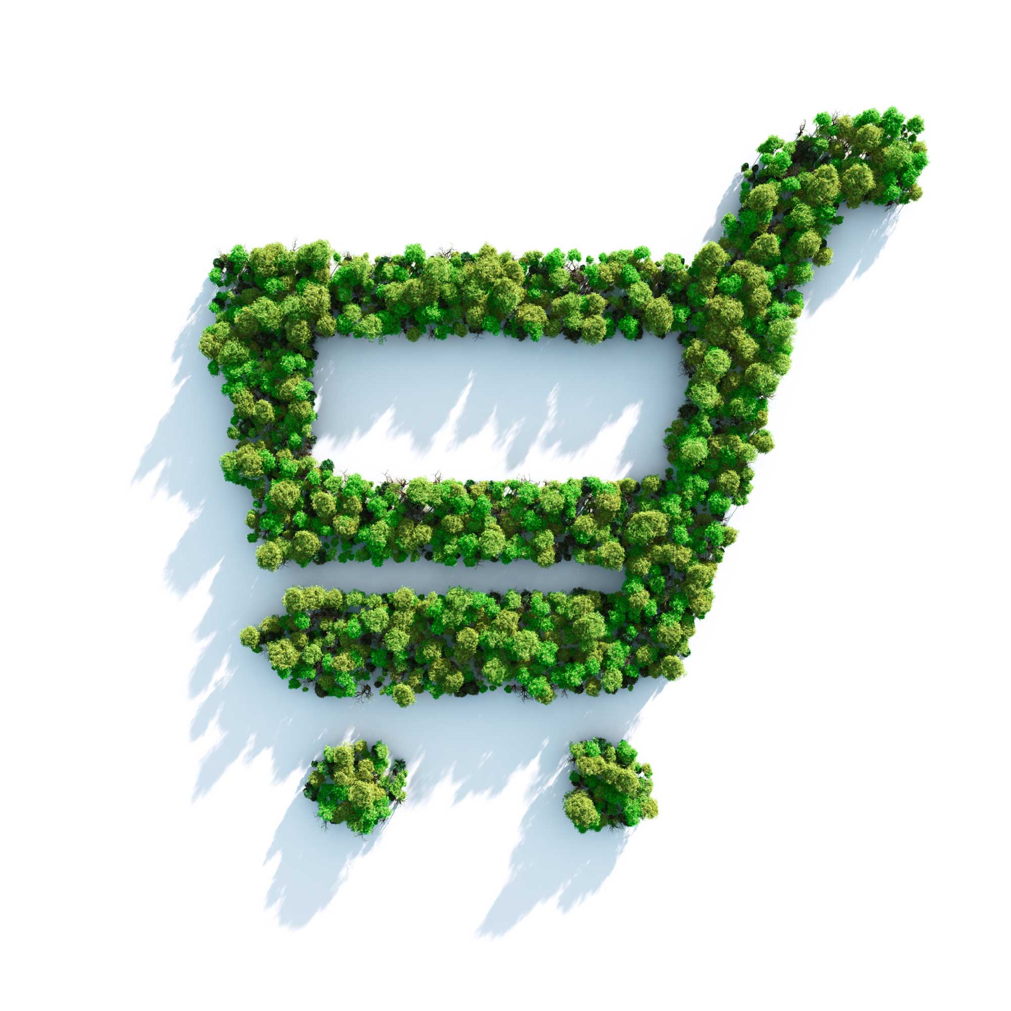 Reciclable v Biodegradable – ¿Cuál es la diferencia?